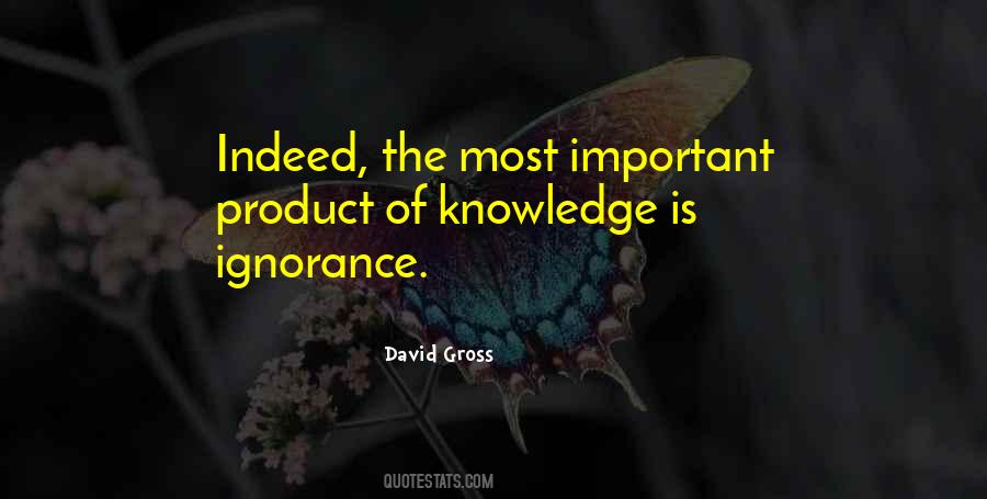 David Gross Quotes #878238