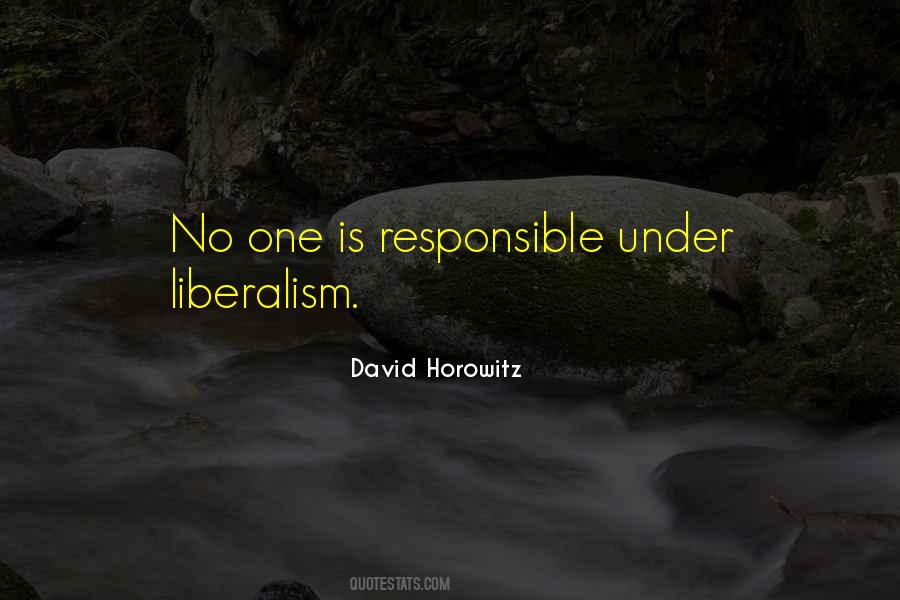 David Horowitz Quotes #1787862