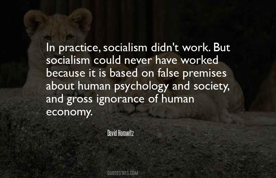 David Horowitz Quotes #1800093