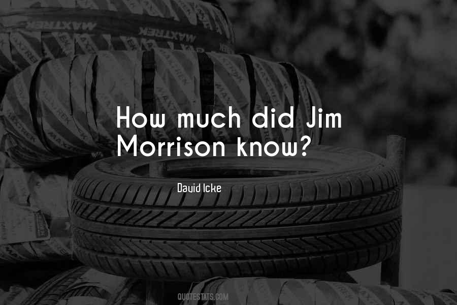 David Icke Quotes #857242