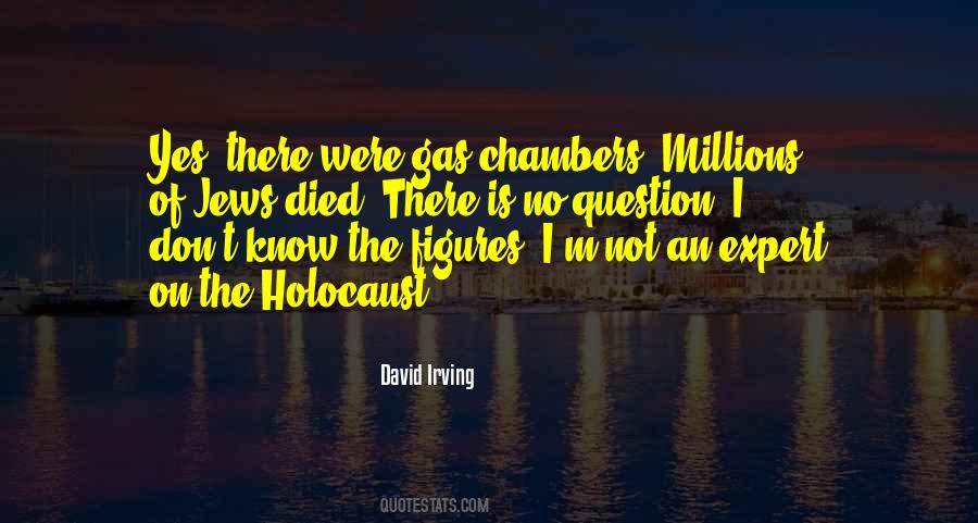 David Irving Quotes #477640