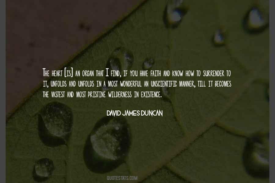 David James Duncan Quotes #1450967