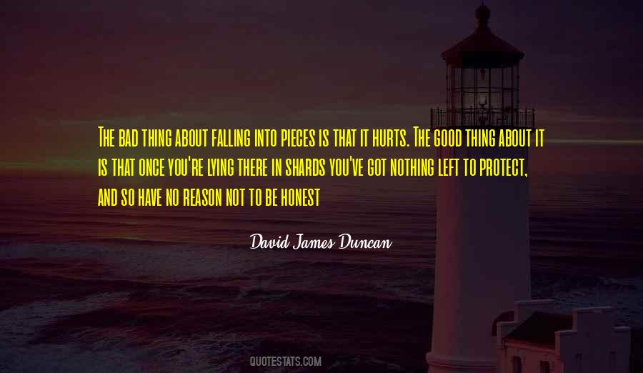 David James Duncan Quotes #674634