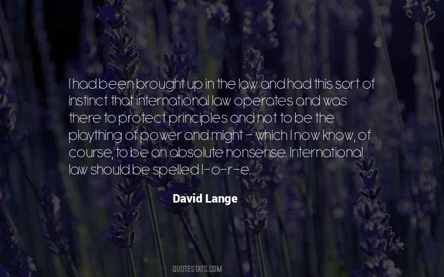 David Lange Quotes #924981