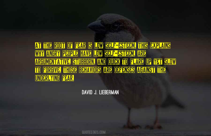 David Lieberman Quotes #1835806