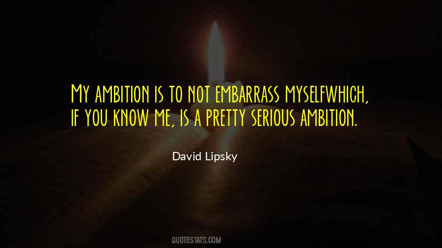 David Lipsky Quotes #1188336