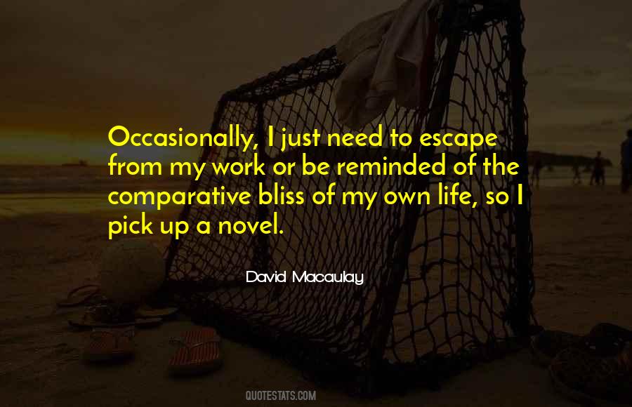 David Macaulay Quotes #258021