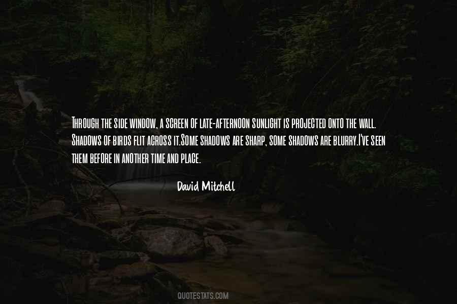 David Mitchell Quotes #78651