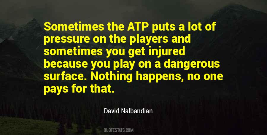 David Nalbandian Quotes #1682870