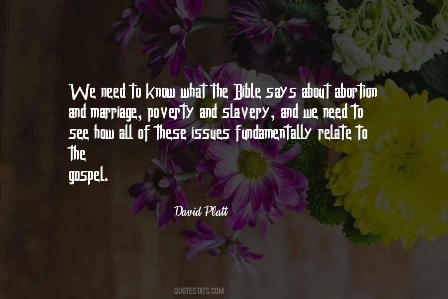 David Platt Quotes #727476