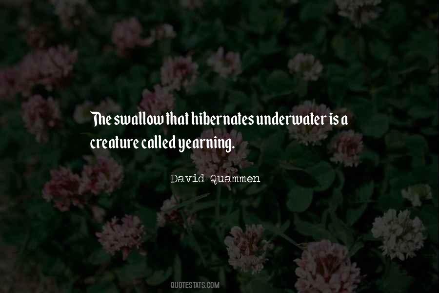 David Quammen Quotes #1711257