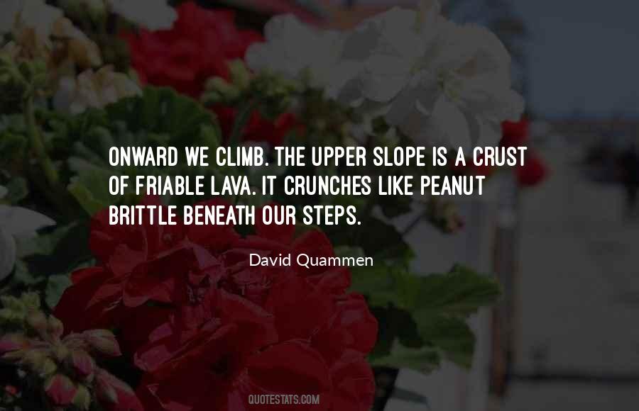 David Quammen Quotes #534941