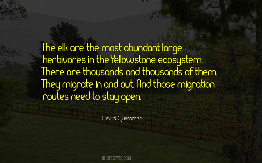 David Quammen Quotes #657680