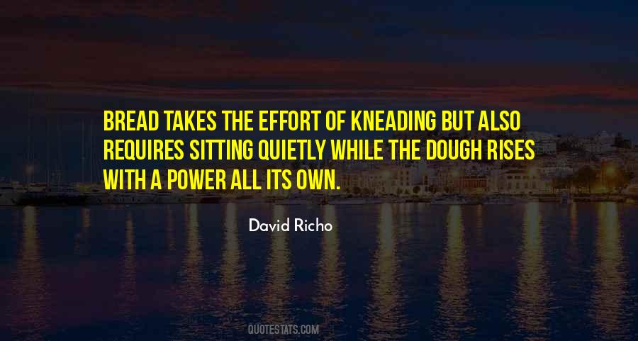 David Richo Quotes #1025168