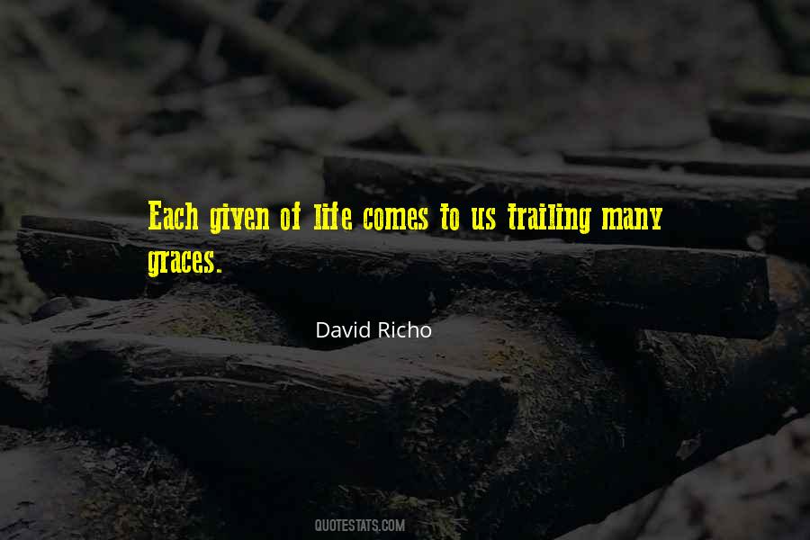 David Richo Quotes #1729582