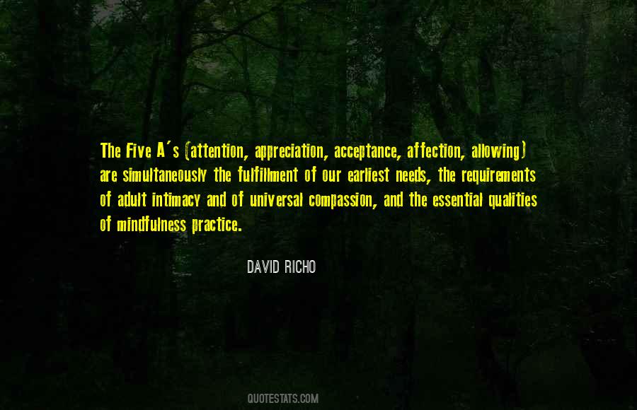 David Richo Quotes #283020
