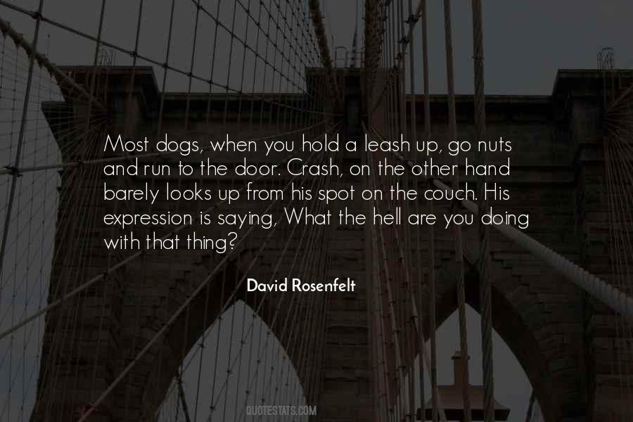 David Rosenfelt Quotes #789779