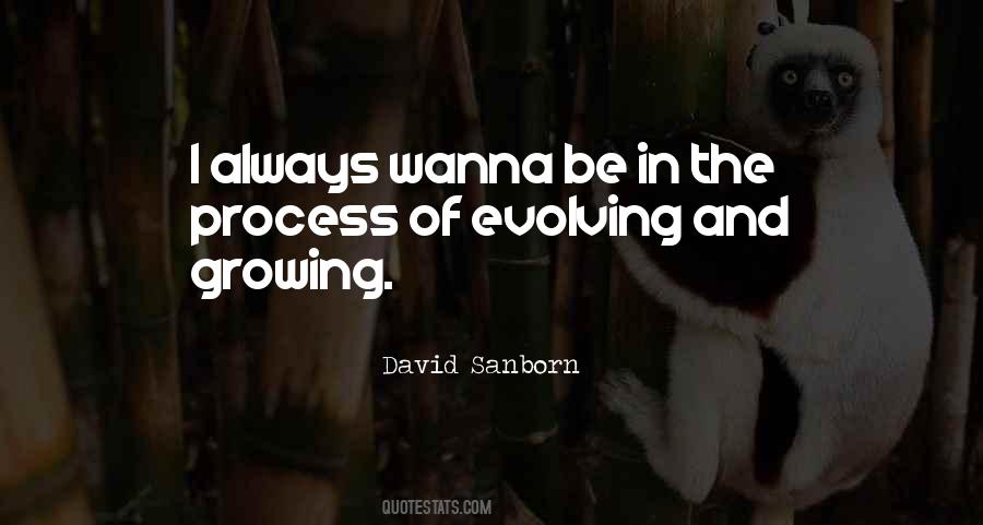 David Sanborn Quotes #1319118