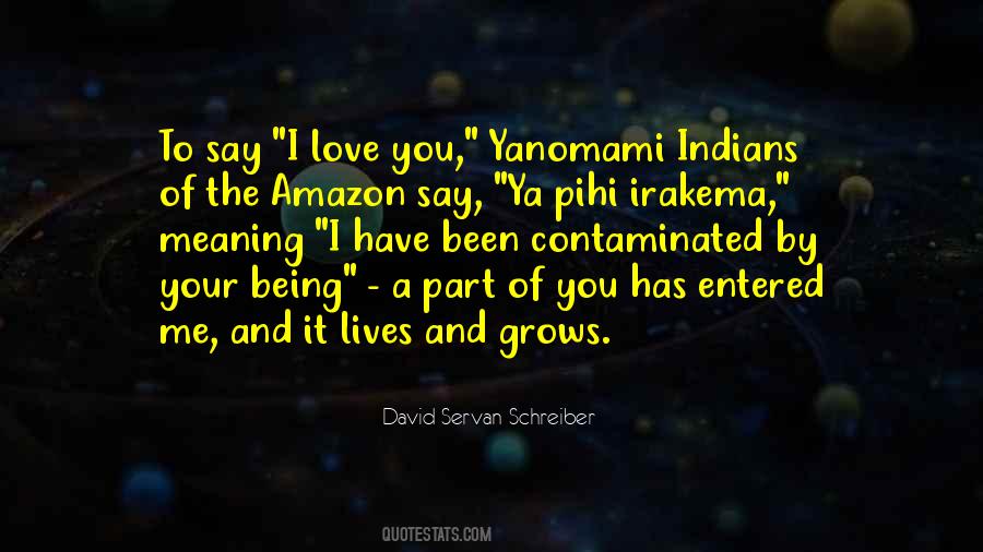 David Servan-schreiber Quotes #132545