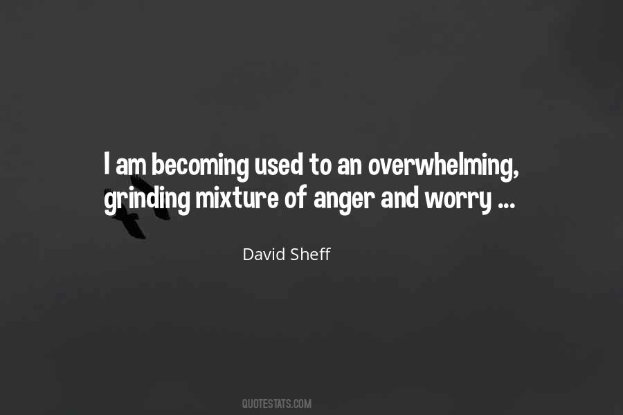 David Sheff Quotes #1072325