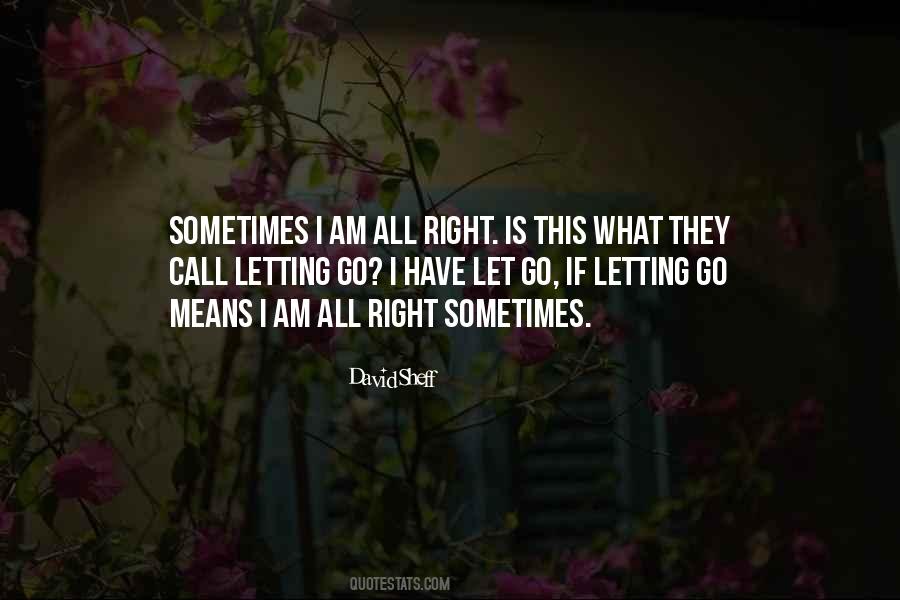 David Sheff Quotes #880229