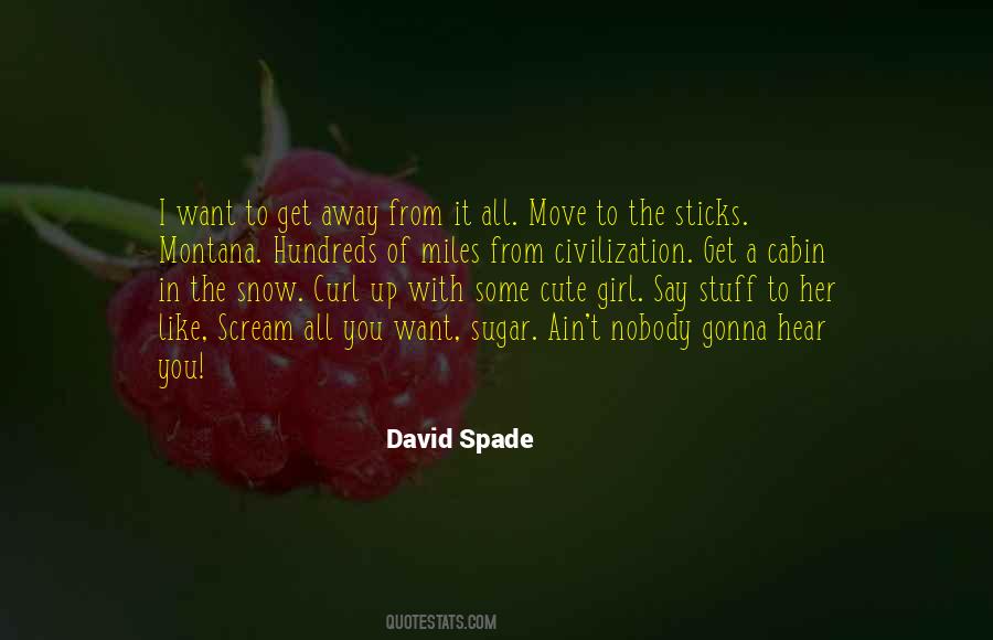 David Spade Quotes #105604