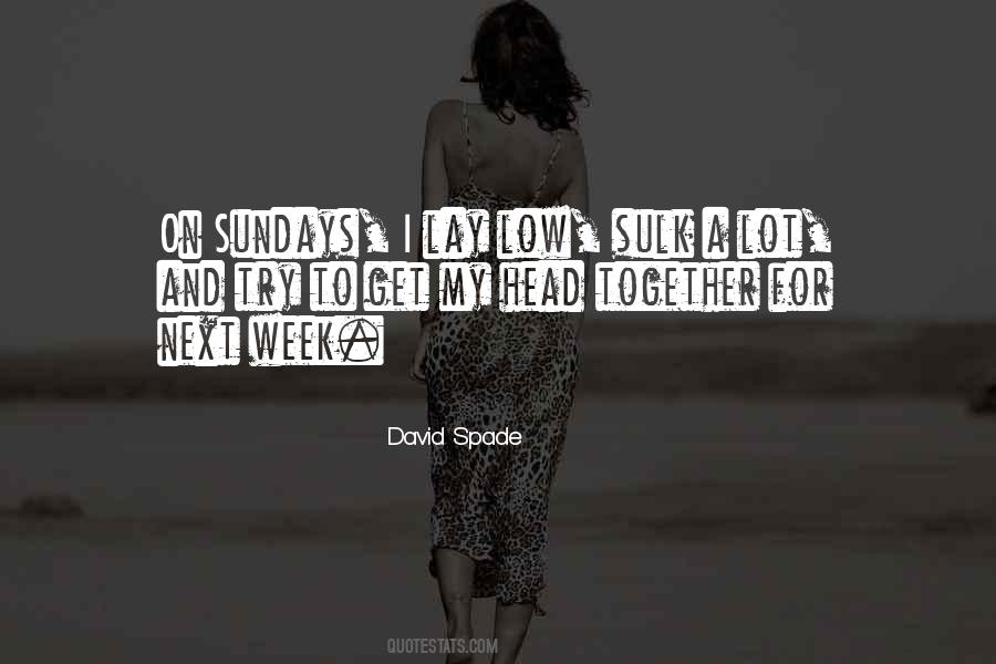 David Spade Quotes #1783367