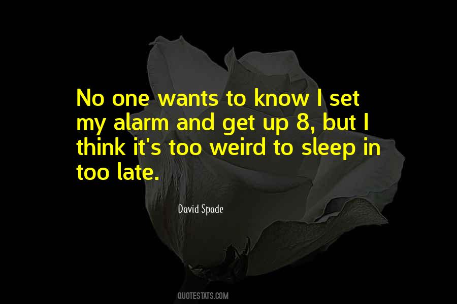 David Spade Quotes #610136