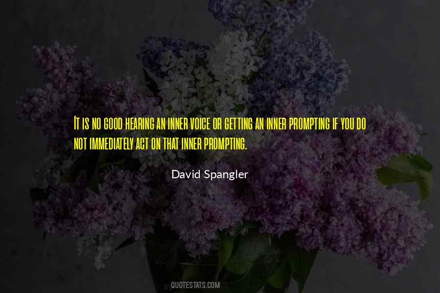 David Spangler Quotes #881263