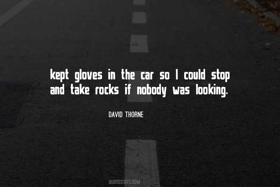 David Thorne Quotes #1274264