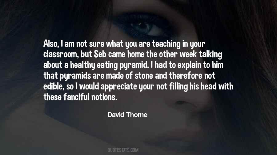 David Thorne Quotes #1415612