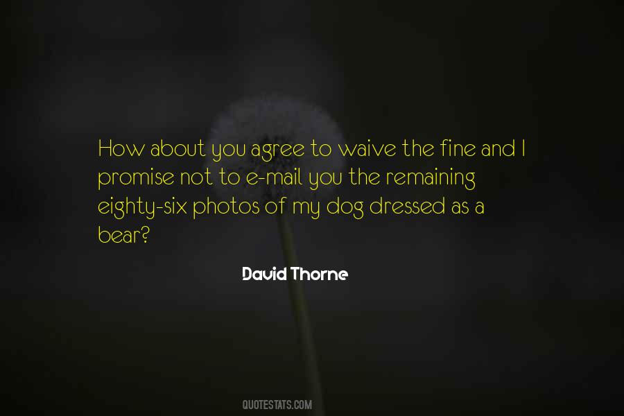 David Thorne Quotes #1506805