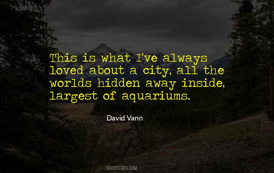 David Vann Quotes #1661518