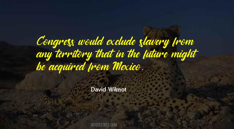 David Wilmot Quotes #926972