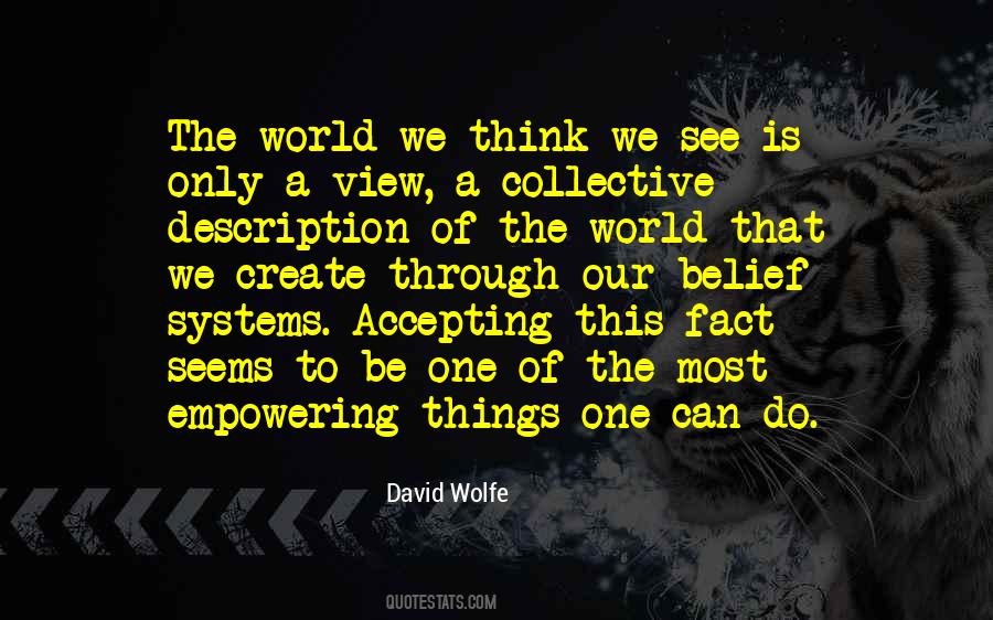 David Wolfe Quotes #1144269