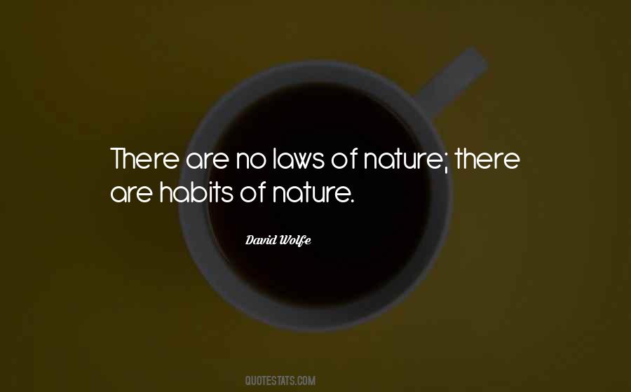 David Wolfe Quotes #1233034