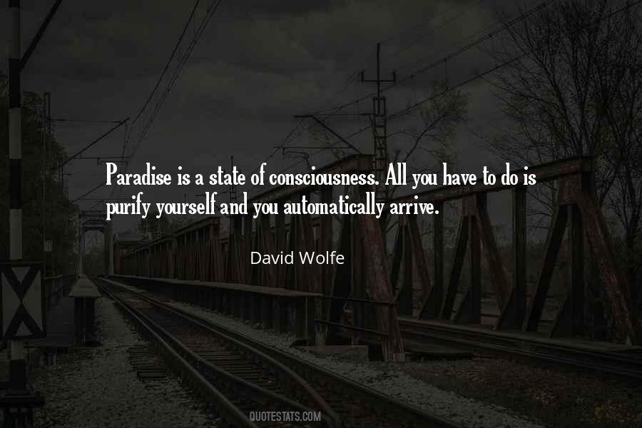 David Wolfe Quotes #1335510