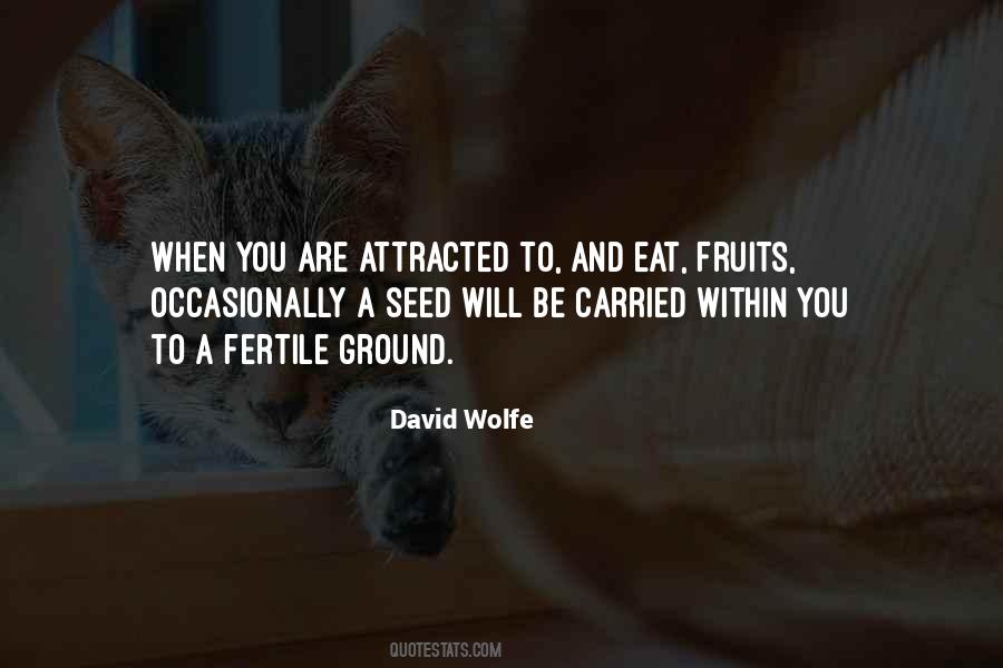 David Wolfe Quotes #1602586
