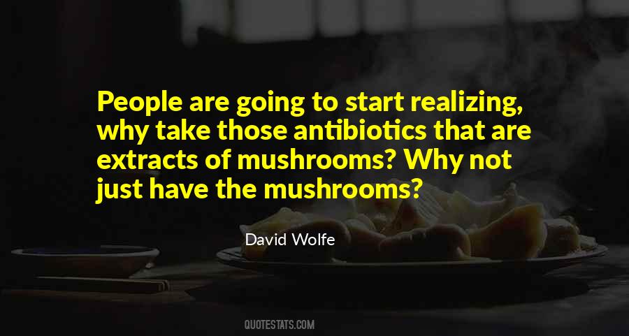 David Wolfe Quotes #1838031