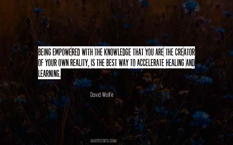 David Wolfe Quotes #1873102