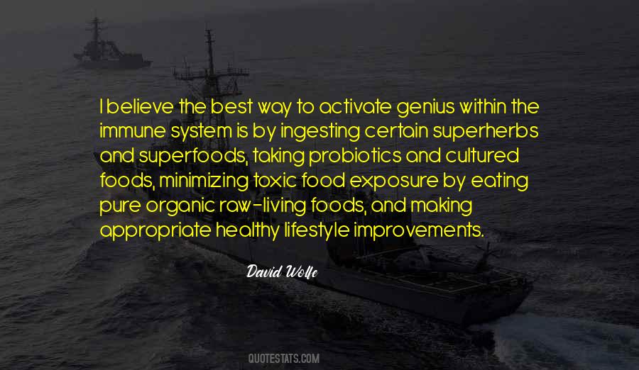 David Wolfe Quotes #237707