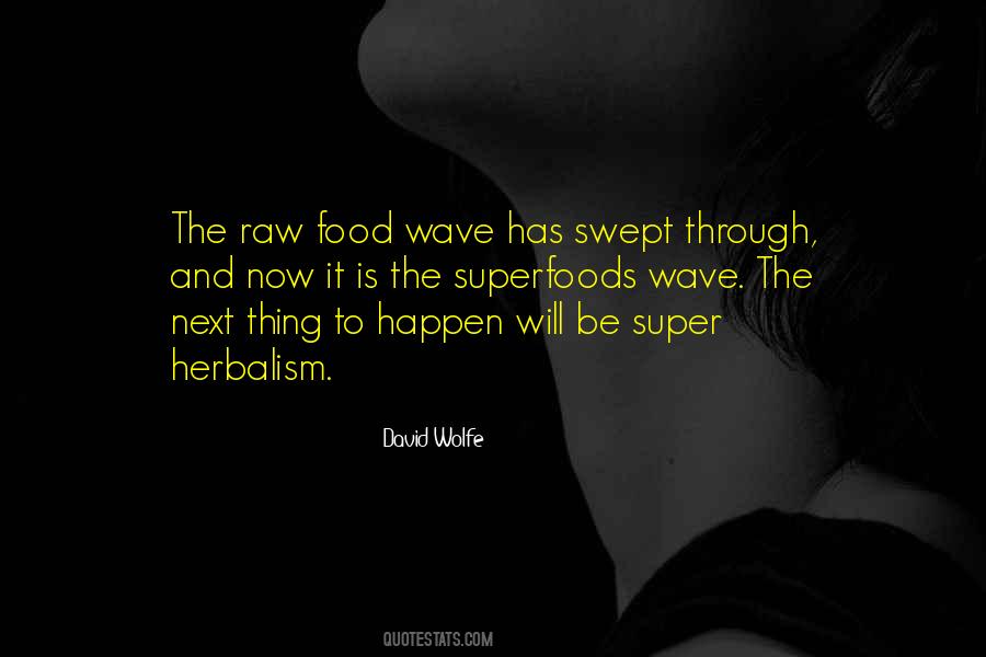 David Wolfe Quotes #418271