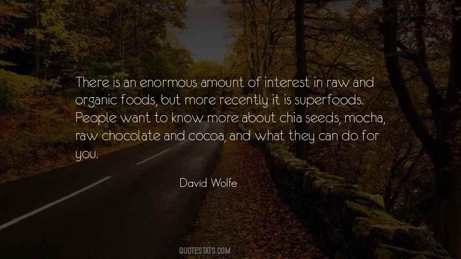 David Wolfe Quotes #570006