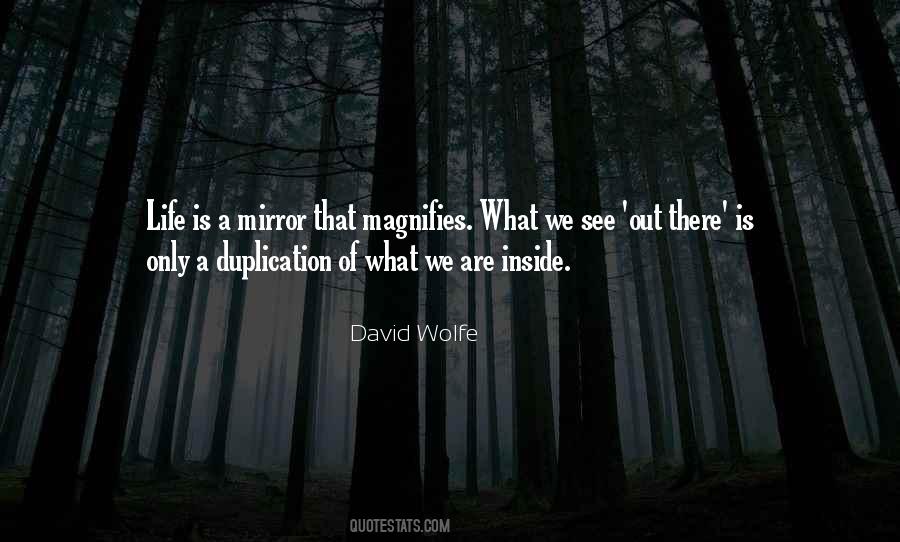 David Wolfe Quotes #698006