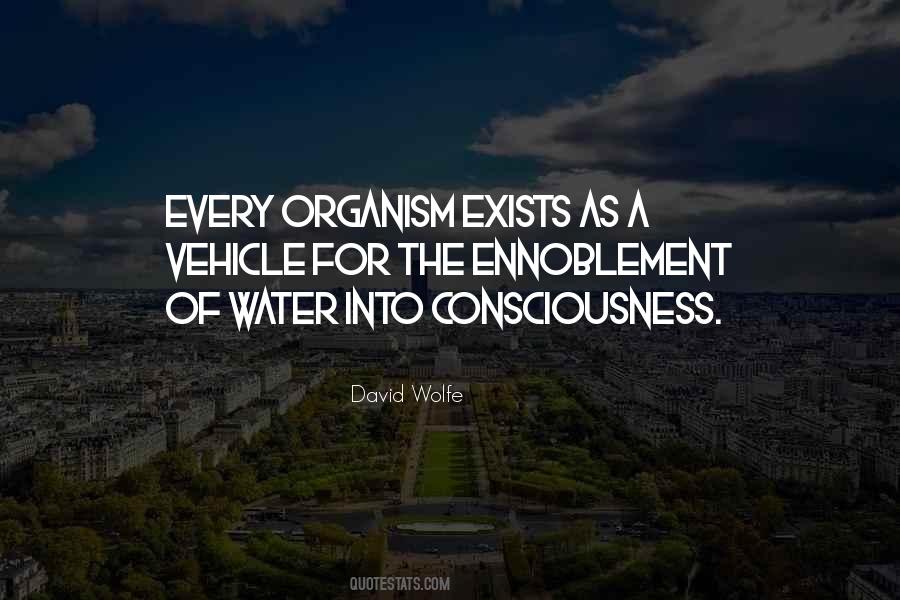 David Wolfe Quotes #791732