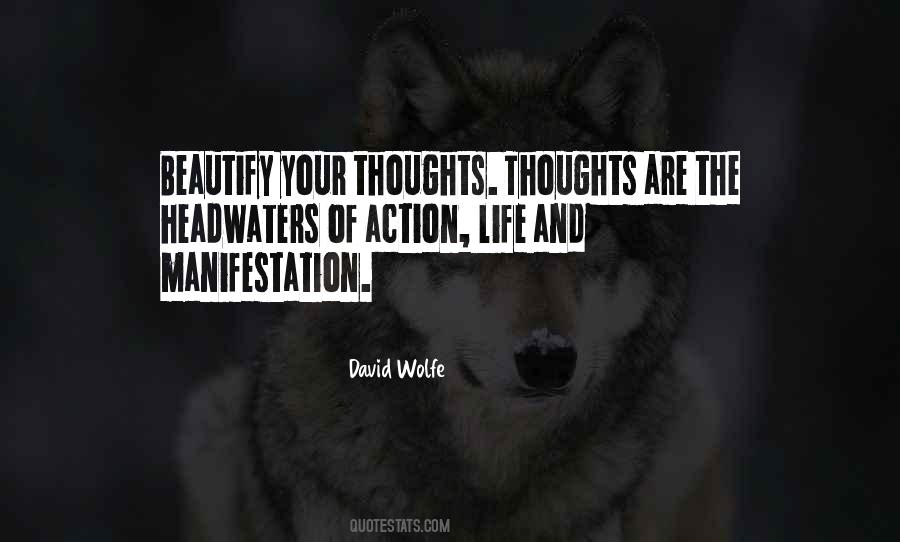 David Wolfe Quotes #927882