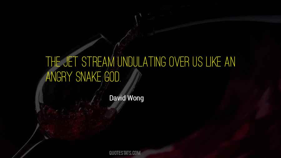 David Wong Quotes #489595