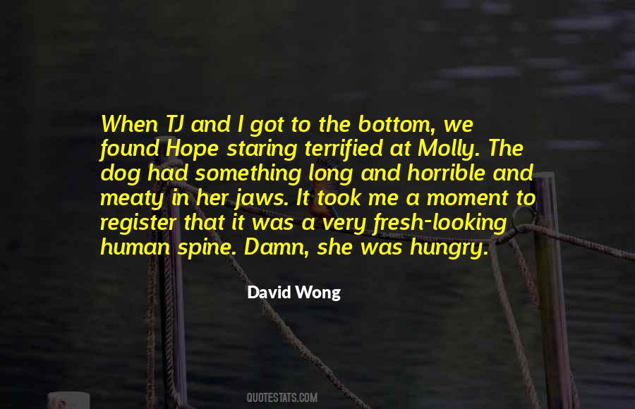 David Wong Quotes #75