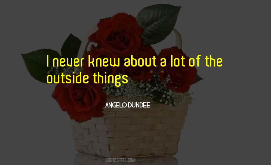 Quotes About I Never Knew #1315911