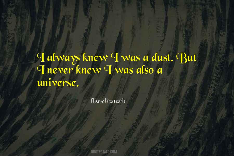 Quotes About I Never Knew #1399377